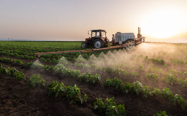 Best Commercial Pest Control Services  in Jesup, GA