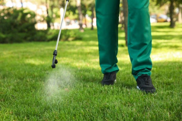 Best Mosquito Control Services  in Jesup, GA