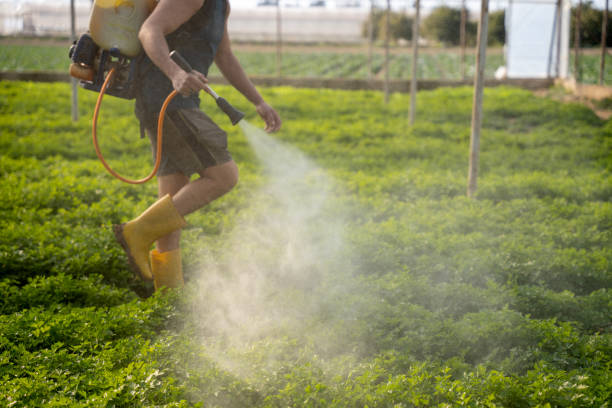 Best Insect Control  in Jesup, GA