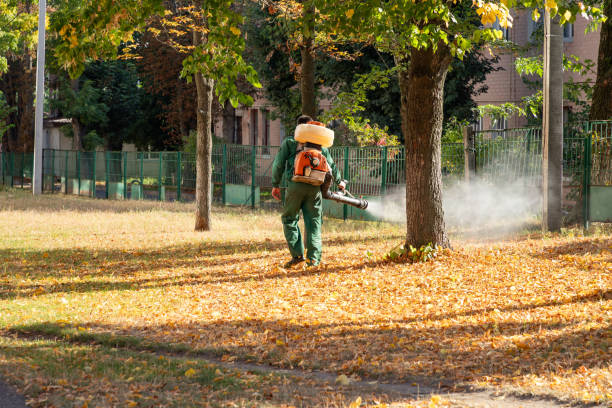 Best Flea Control Services  in Jesup, GA