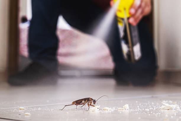 Best Affordable Pest Control Services  in Jesup, GA