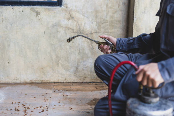 Best Pest Removal Services  in Jesup, GA